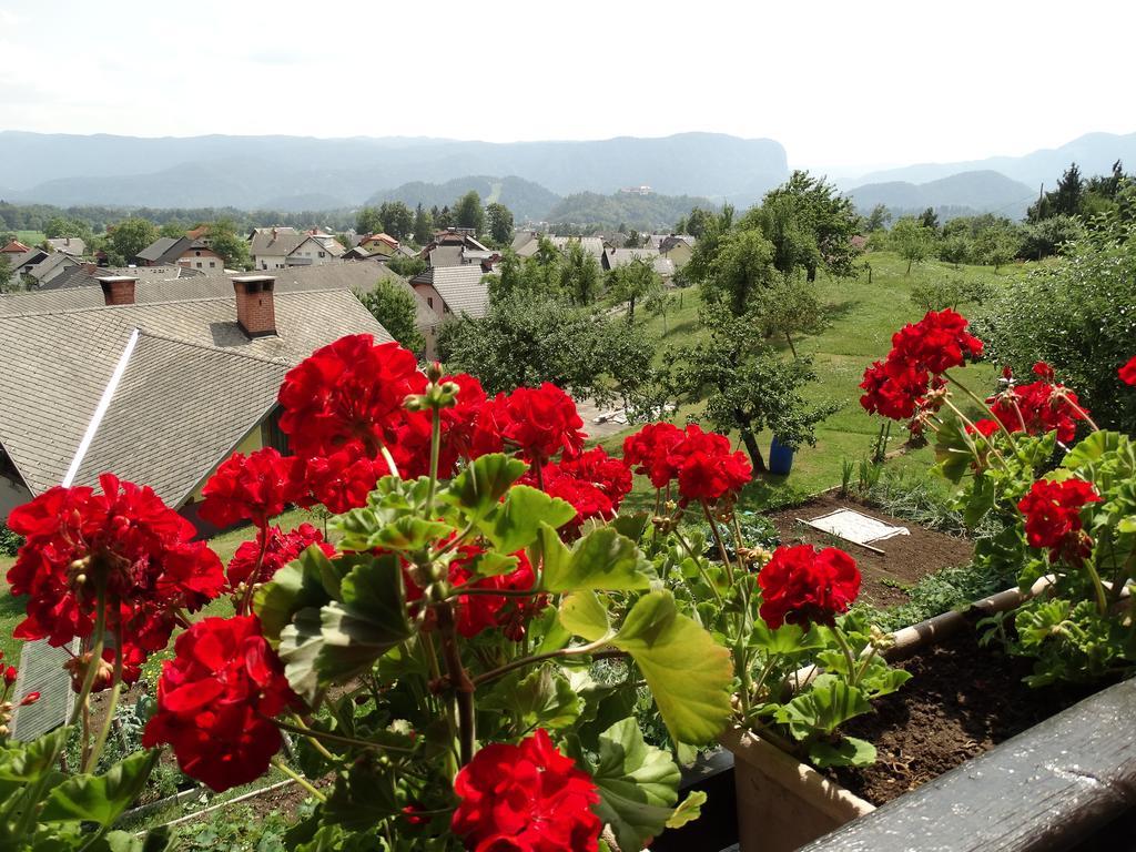 Garden Apartments Maria Bled Bagian luar foto